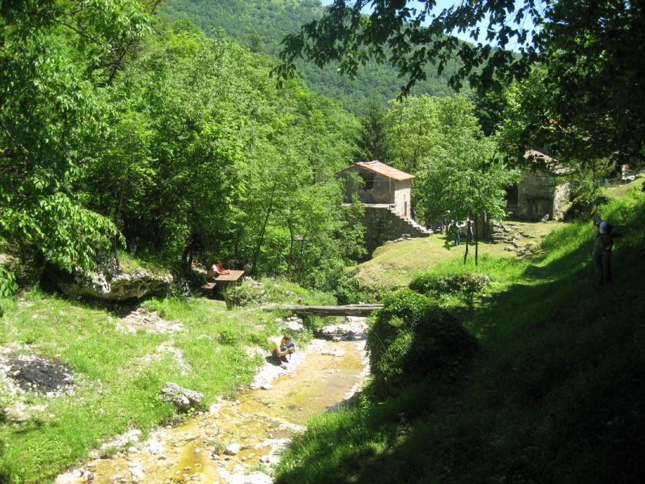 Forested landscape of Učka above Mošćenička Draga